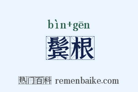 鬓根是什么意思的图片
